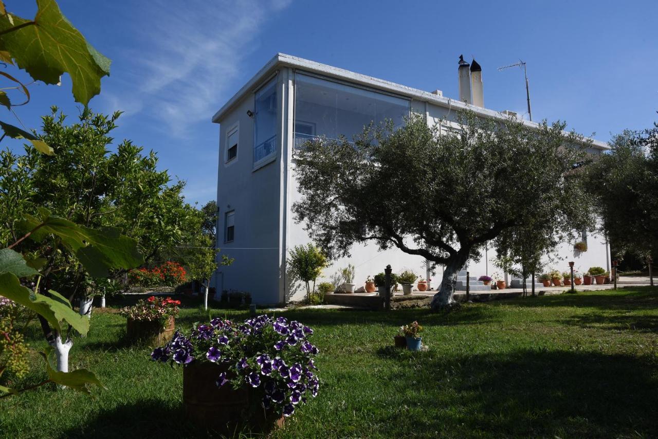 Mina Apartments Zacharo Bagian luar foto